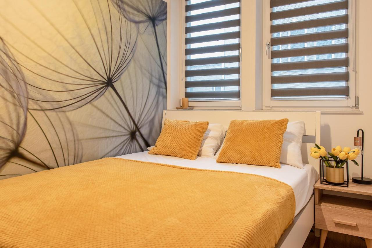 3D Kosciuszki 19 Apartament Krakau Buitenkant foto